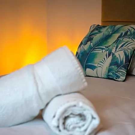 Apartamento Solent Joli F2 Proche Jardin Des Plantes A Ruan