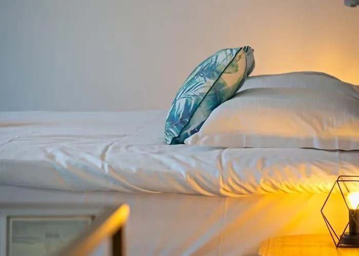 Apartment Solent Joli F2 Proche Jardin Des Plantes A Rouen