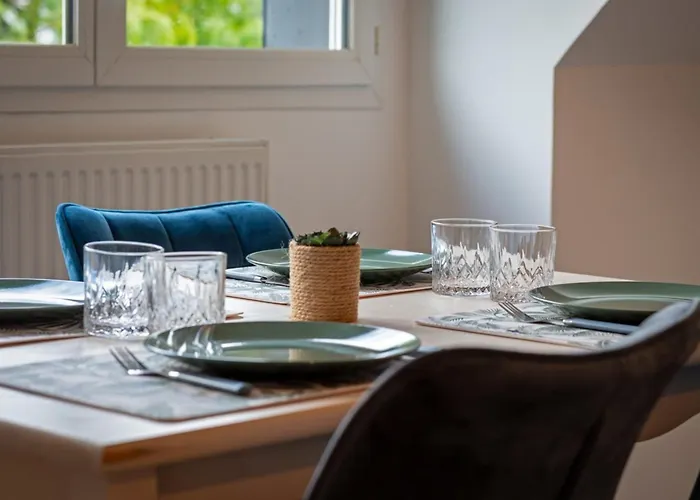 Apartment Solent Joli F2 Proche Jardin Des Plantes A Rouen