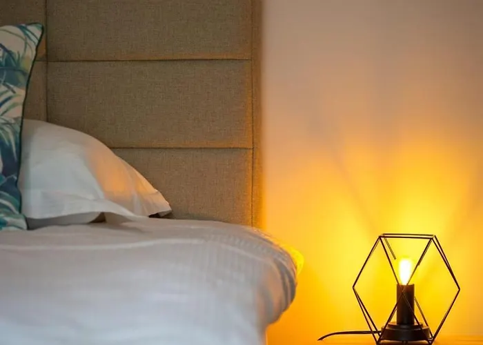 Apartment Solent Joli F2 Proche Jardin Des Plantes A